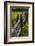 Cedar Fence-John Gusky-Framed Photographic Print