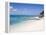 Cedar Grove Beach, Cockburn Town, Grand Turk Island, Turks and Caicos Islands, West Indies-Richard Cummins-Framed Premier Image Canvas