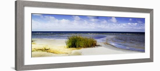 Cedar Island Beach I-Alan Hausenflock-Framed Art Print