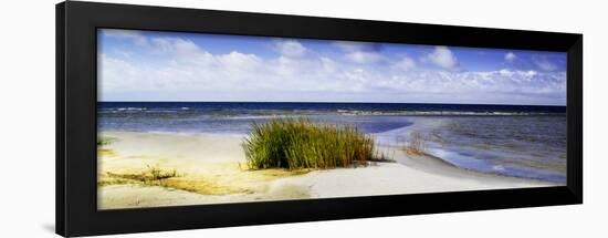 Cedar Island Beach I-Alan Hausenflock-Framed Art Print