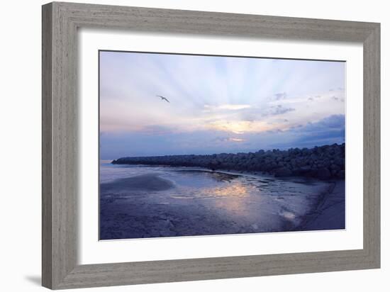 Cedar Island Sunrise-Alan Hausenflock-Framed Photographic Print