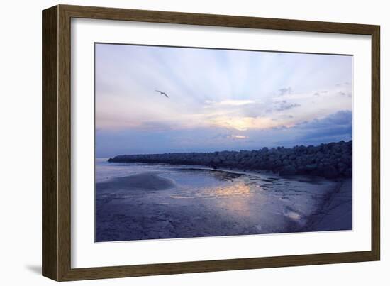 Cedar Island Sunrise-Alan Hausenflock-Framed Photographic Print