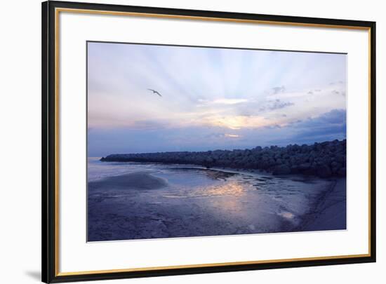 Cedar Island Sunrise-Alan Hausenflock-Framed Photographic Print