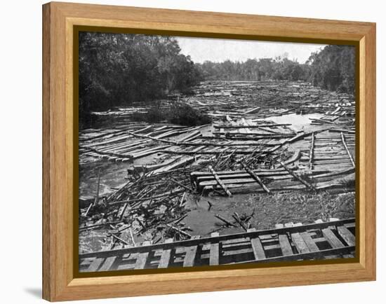 Cedar Logs on the Tebicuary-Guazu River Floating by the Railway Bridge, Paraguay, 1911-null-Framed Premier Image Canvas