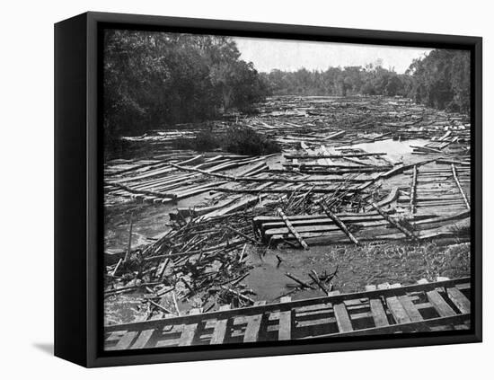 Cedar Logs on the Tebicuary-Guazu River Floating by the Railway Bridge, Paraguay, 1911-null-Framed Premier Image Canvas