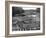 Cedar Logs on the Tebicuary-Guazu River Floating by the Railway Bridge, Paraguay, 1911-null-Framed Giclee Print