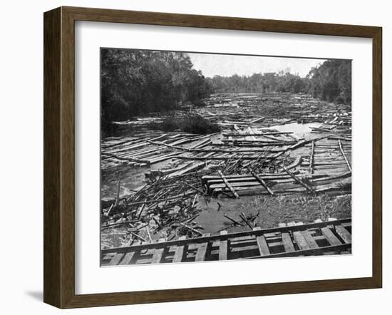 Cedar Logs on the Tebicuary-Guazu River Floating by the Railway Bridge, Paraguay, 1911-null-Framed Giclee Print