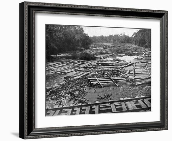 Cedar Logs on the Tebicuary-Guazu River Floating by the Railway Bridge, Paraguay, 1911-null-Framed Giclee Print