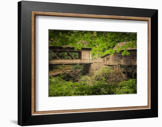 Cedar Mill and Covered Bridge-Don Schwartz-Framed Premium Giclee Print