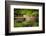 Cedar Mill and Covered Bridge-Don Schwartz-Framed Premium Giclee Print