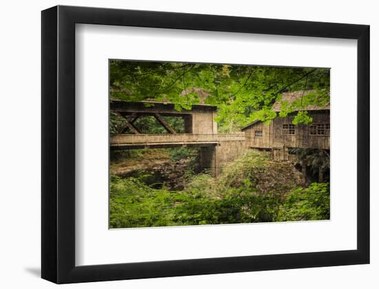 Cedar Mill and Covered Bridge-Don Schwartz-Framed Premium Giclee Print