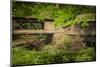 Cedar Mill and Covered Bridge-Don Schwartz-Mounted Art Print