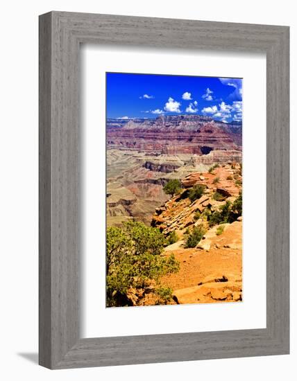 Cedar Ridge - Grand Canyon - National Park - Arizona - United States-Philippe Hugonnard-Framed Photographic Print