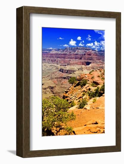 Cedar Ridge - Grand Canyon - National Park - Arizona - United States-Philippe Hugonnard-Framed Photographic Print