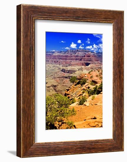 Cedar Ridge - Grand Canyon - National Park - Arizona - United States-Philippe Hugonnard-Framed Photographic Print