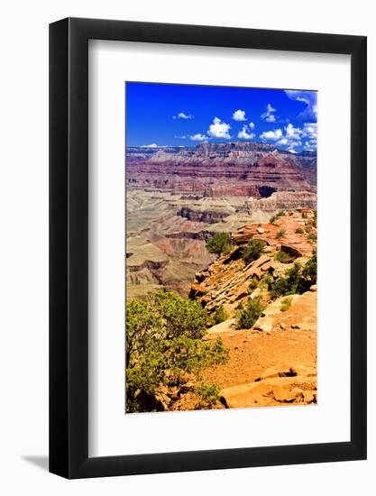 Cedar Ridge - Grand Canyon - National Park - Arizona - United States-Philippe Hugonnard-Framed Photographic Print