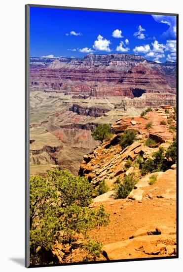 Cedar Ridge - Grand Canyon - National Park - Arizona - United States-Philippe Hugonnard-Mounted Photographic Print