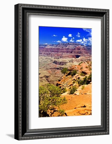 Cedar Ridge - Grand Canyon - National Park - Arizona - United States-Philippe Hugonnard-Framed Photographic Print