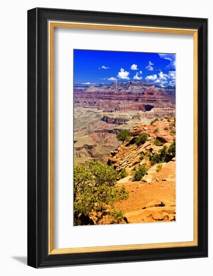 Cedar Ridge - Grand Canyon - National Park - Arizona - United States-Philippe Hugonnard-Framed Photographic Print