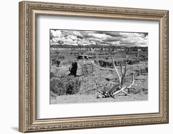 Cedar Ridge - Grand Canyon - National Park - Arizona - United States-Philippe Hugonnard-Framed Photographic Print