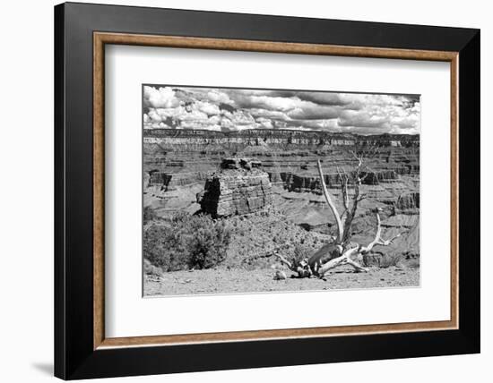 Cedar Ridge - Grand Canyon - National Park - Arizona - United States-Philippe Hugonnard-Framed Photographic Print