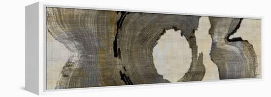 Cedar Round II-John Butler-Framed Stretched Canvas