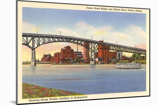 Cedar Street Bridge, Peoria, Illinois-null-Mounted Art Print