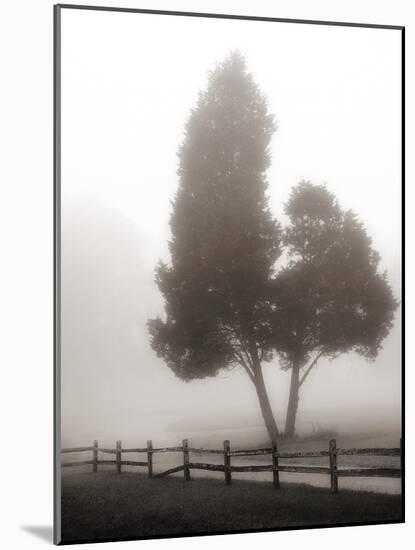 Cedar Tree and Fence-Nicholas Bell-Mounted Photographic Print