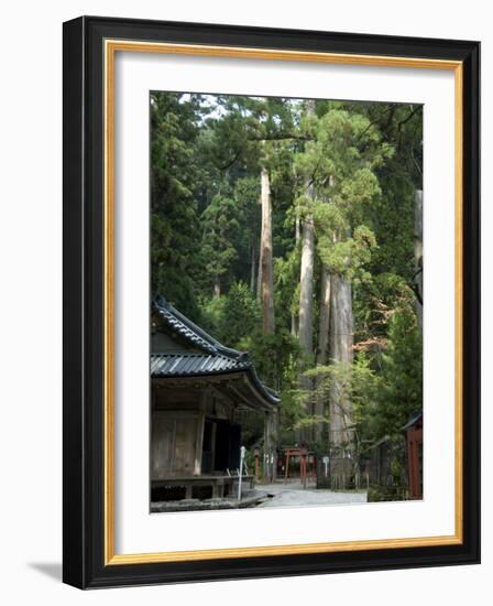 Cedar Trees at Futarasan Shinto Shrine, Nikko Temples, UNESCO World Heritage Site, Honshu, Japan-Tony Waltham-Framed Photographic Print