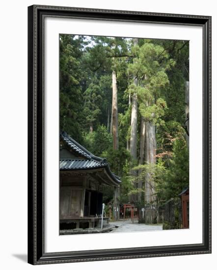 Cedar Trees at Futarasan Shinto Shrine, Nikko Temples, UNESCO World Heritage Site, Honshu, Japan-Tony Waltham-Framed Photographic Print