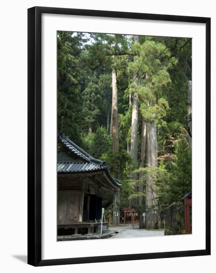 Cedar Trees at Futarasan Shinto Shrine, Nikko Temples, UNESCO World Heritage Site, Honshu, Japan-Tony Waltham-Framed Photographic Print