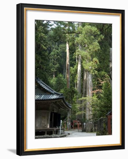 Cedar Trees at Futarasan Shinto Shrine, Nikko Temples, UNESCO World Heritage Site, Honshu, Japan-Tony Waltham-Framed Photographic Print