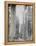 Cedar Trees, Clearwater, WA, 1936-Ashael Curtis-Framed Premier Image Canvas