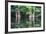 Cedar Trees in Suwannee River, Florida, USA-Sheila Haddad-Framed Photographic Print