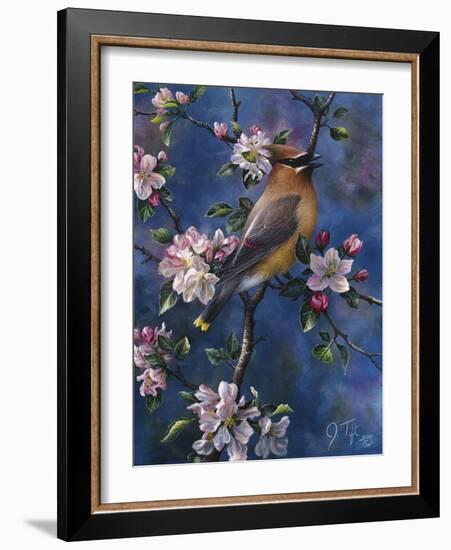 Cedar Waxwing-Jeff Tift-Framed Giclee Print