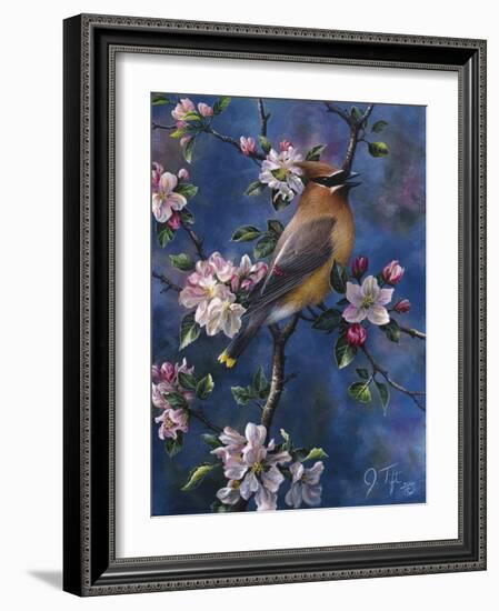 Cedar Waxwing-Jeff Tift-Framed Giclee Print