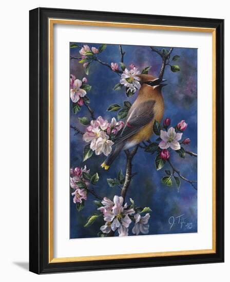 Cedar Waxwing-Jeff Tift-Framed Giclee Print