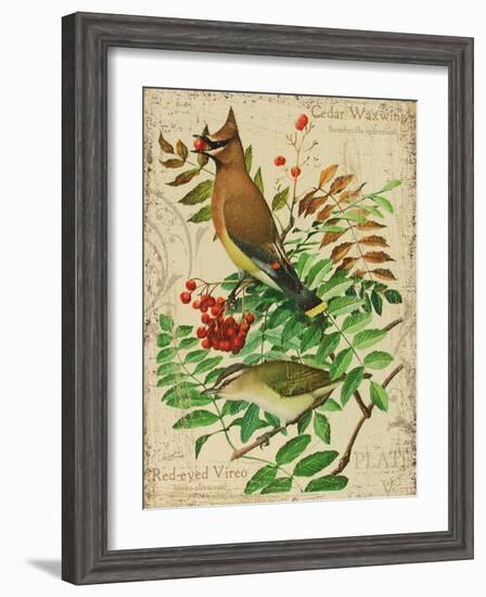 Cedar Waxwing-Kate Ward Thacker-Framed Giclee Print