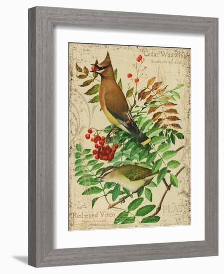 Cedar Waxwing-Kate Ward Thacker-Framed Giclee Print