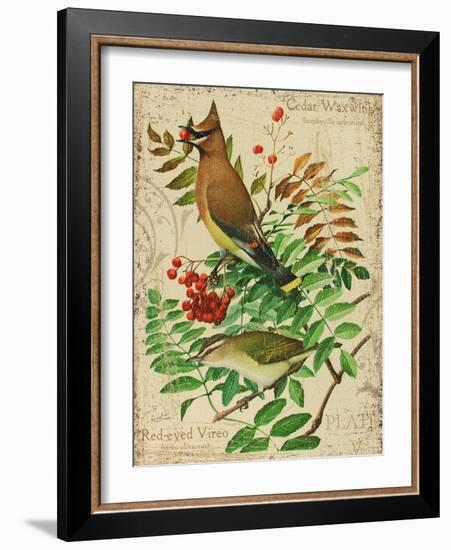 Cedar Waxwing-Kate Ward Thacker-Framed Giclee Print