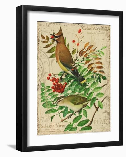 Cedar Waxwing-Kate Ward Thacker-Framed Giclee Print