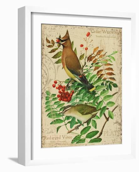 Cedar Waxwing-Kate Ward Thacker-Framed Giclee Print