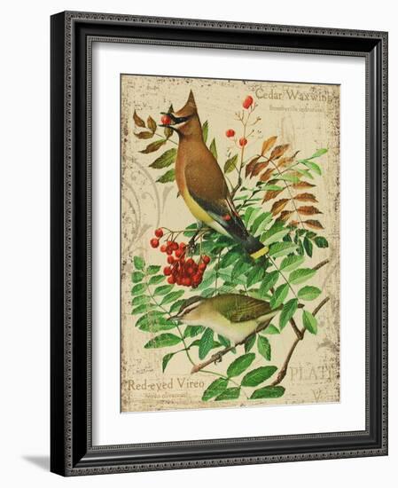 Cedar Waxwing-Kate Ward Thacker-Framed Giclee Print