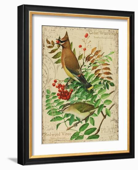 Cedar Waxwing-Kate Ward Thacker-Framed Giclee Print