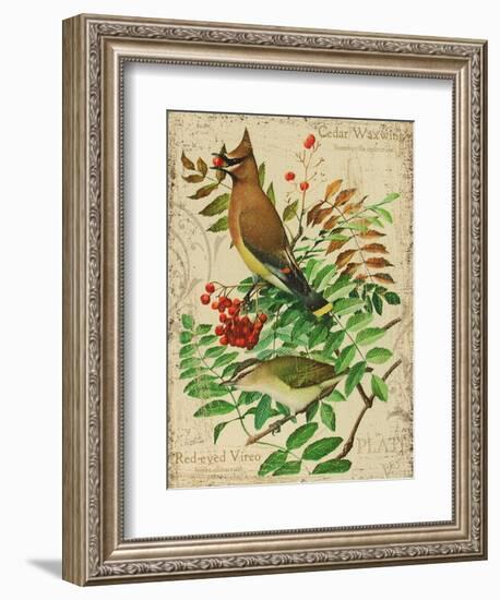 Cedar Waxwing-Kate Ward Thacker-Framed Giclee Print