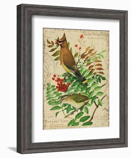 Cedar Waxwing-Kate Ward Thacker-Framed Giclee Print