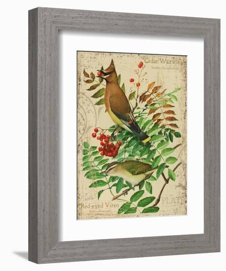 Cedar Waxwing-Kate Ward Thacker-Framed Giclee Print