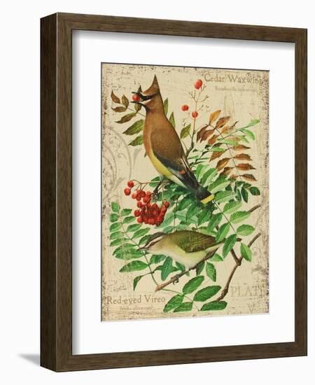 Cedar Waxwing-Kate Ward Thacker-Framed Giclee Print