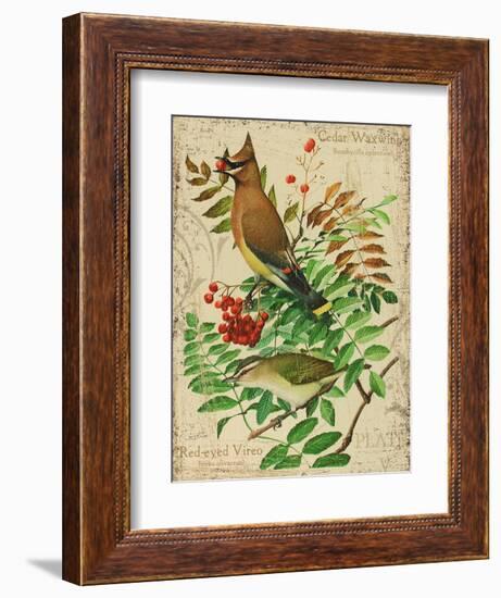 Cedar Waxwing-Kate Ward Thacker-Framed Giclee Print