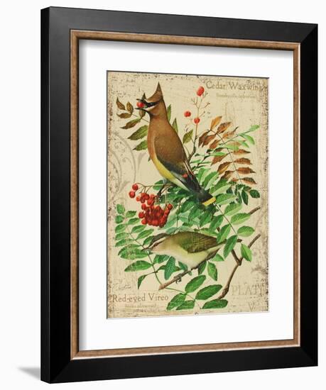 Cedar Waxwing-Kate Ward Thacker-Framed Giclee Print